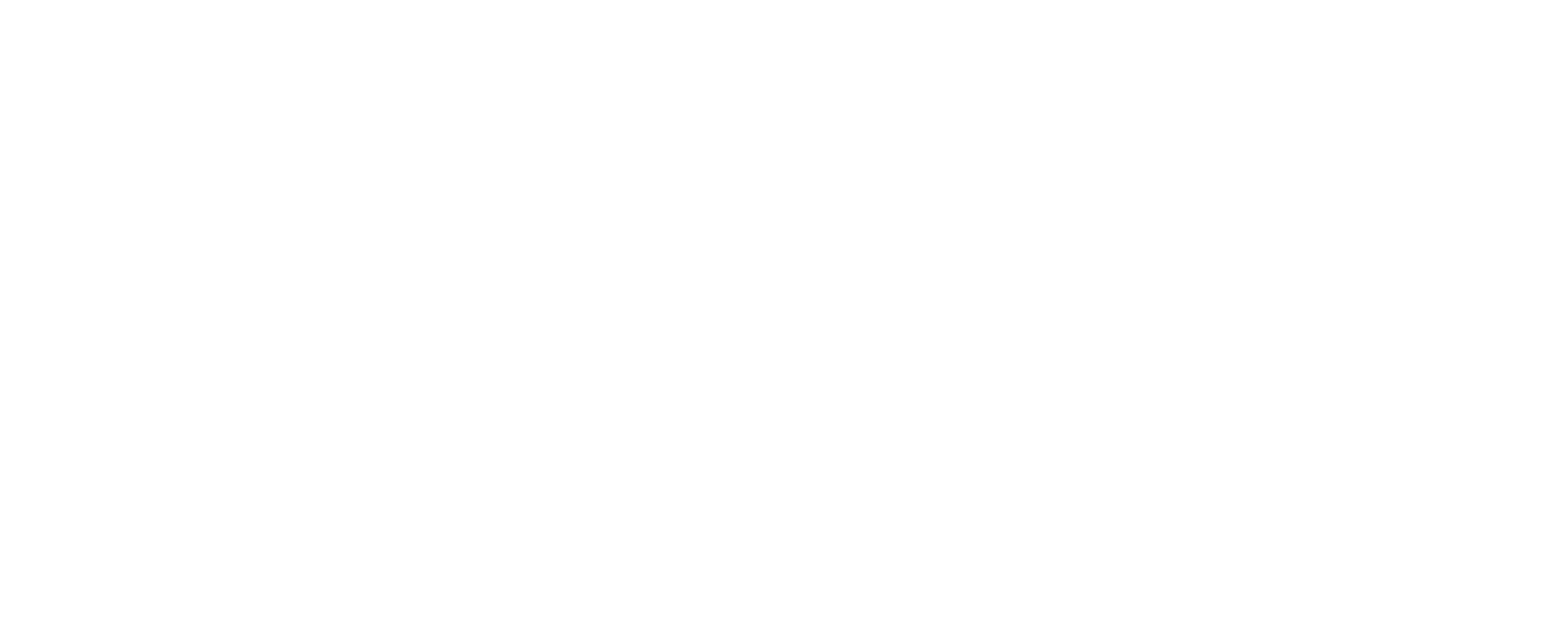 Deal & Drive White Wide Logo